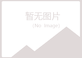 琼山字迹会计有限公司